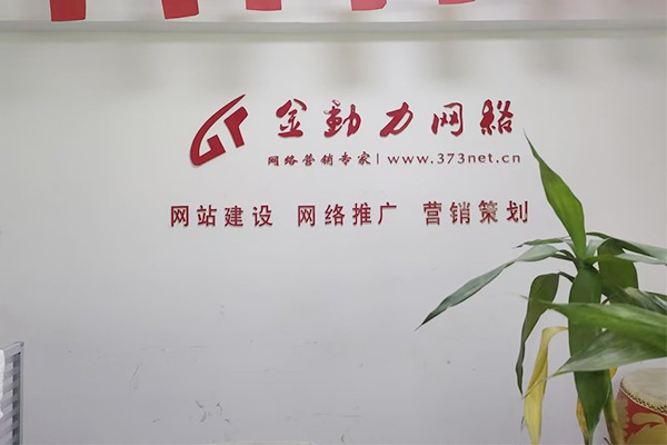 河南金動力網絡推廣公司2025年比較好多網絡推廣方式有哪些？